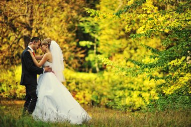 Genç ve düzülmüş Düğün çifti sonbahar ormanda