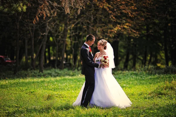 若いと秋の森で豪華な結婚式のカップル — ストック写真