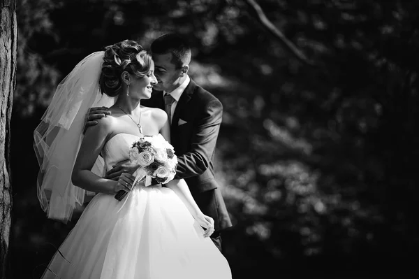 Young και απόλαύσουν γαμήλιο ζεύγος στο φθινόπωρο δάσος — Φωτογραφία Αρχείου