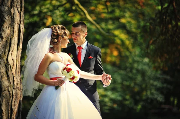 Fiatal és folyóvölgy magával ragadó esküvő házaspár őszi erdő — Stock Fotó