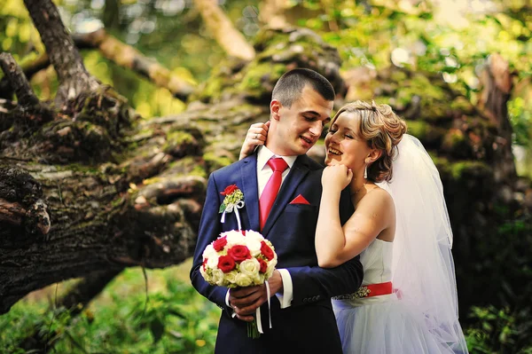 Young and gorgeus wedding couple on autumn forest — Stock Photo, Image