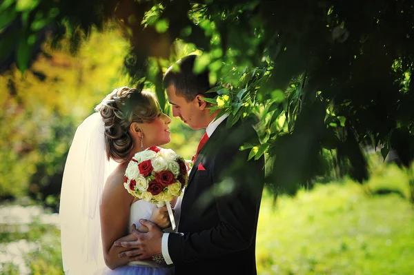 Jeune et gorgée couple de mariage sur la forêt d'automne — Photo