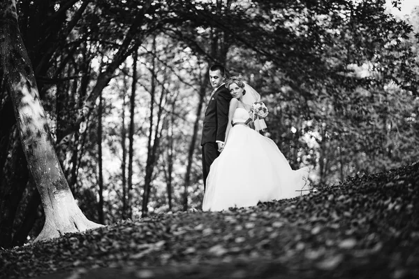 Young and gorgeus wedding couple on autumn forest — Stock Photo, Image