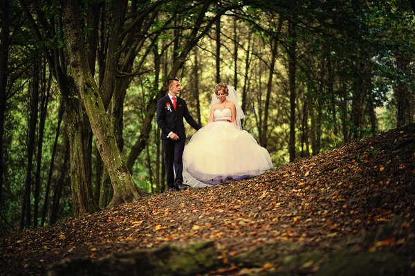 Jeune et gorgée couple de mariage sur la forêt d'automne — Photo