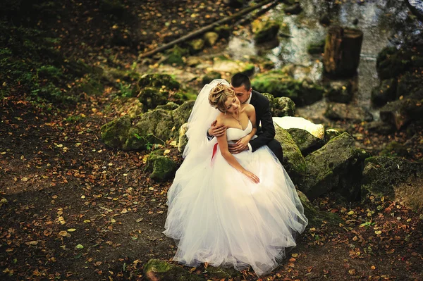 Casal de casamento jovem e gorgeus na floresta de outono — Fotografia de Stock