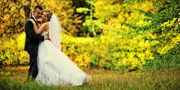 Jong en gorgeus bruidspaar op herfst bos — Stockfoto