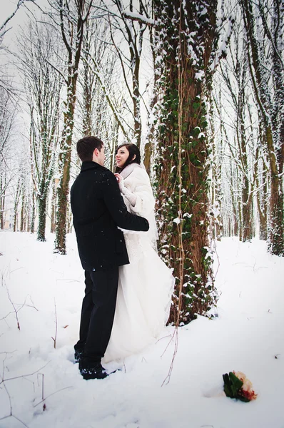 冬 snowly の森で結婚式のカップル — ストック写真