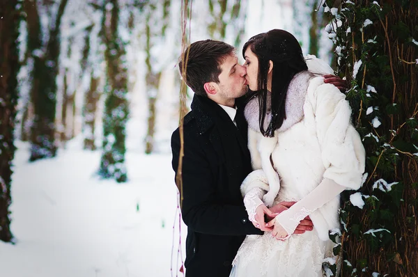 Pareja de bodas en invierno bosque nevado — Foto de Stock