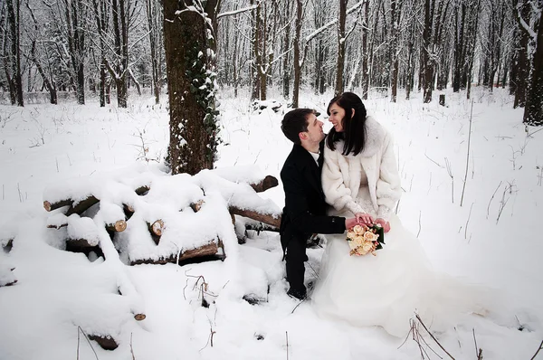 冬 snowly の森で結婚式のカップル — ストック写真