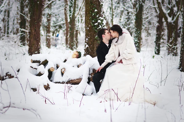 Pareja de bodas en invierno bosque nevado — Foto de Stock