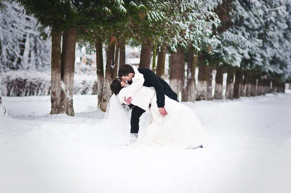 겨울 snowly 숲에 결혼식 한 쌍 — 스톡 사진