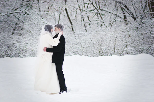Pareja de bodas en invierno bosque nevado — Foto de Stock