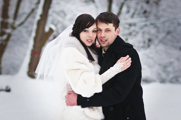 Pareja de bodas en invierno bosque nevado — Foto de Stock