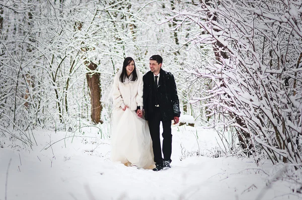 冬 snowly の森で結婚式のカップル — ストック写真