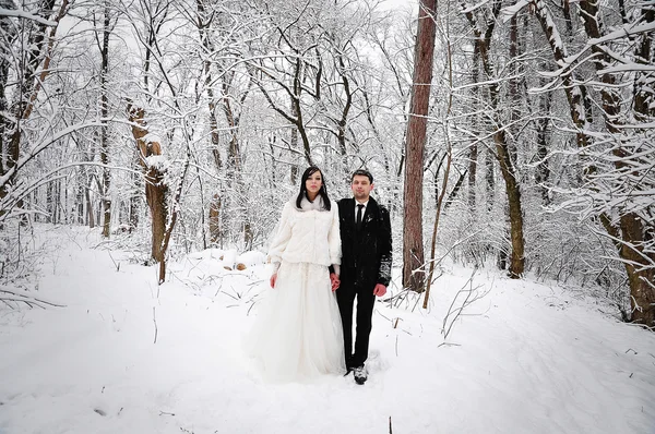 冬 snowly の森で結婚式のカップル — ストック写真