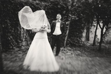 Rüzgar play gelin arka plan damat peçe ile