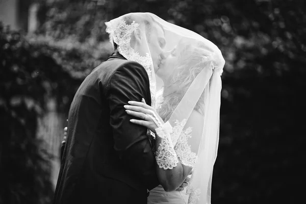 Hochzeitspaar küsst sich unter dem Schleier — Stockfoto