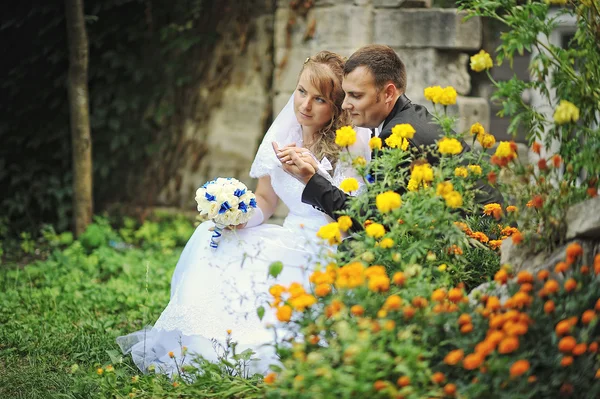 Newlyweds siting near flowers and holding hands — Stock Photo, Image
