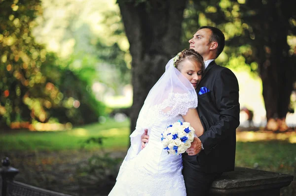 Para ślub pod drzewem w ich szczęśliwy dzień — Zdjęcie stockowe
