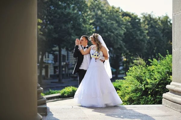 Menyasszony vőlegény csók keze — Stock Fotó