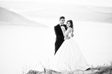 Çok şehvetli ve düzülmüş Düğün çifti pitoresk arazileri üzerinde