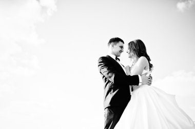 Çok şehvetli ve düzülmüş Düğün çifti pitoresk arazileri üzerinde