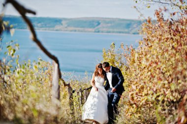 Çok şehvetli ve düzülmüş Düğün çifti pitoresk arazileri üzerinde