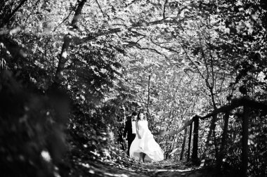 Çok şehvetli ve düzülmüş Düğün çifti pitoresk arazileri üzerinde