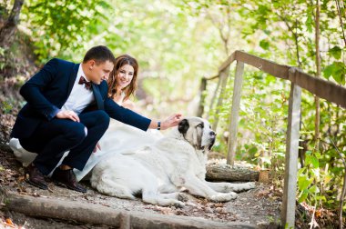 Çok şehvetli ve düzülmüş Düğün çifti pitoresk arazileri üzerinde