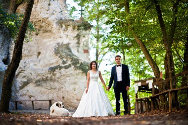 Çok şehvetli ve düzülmüş Düğün çifti pitoresk arazileri üzerinde