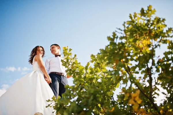 Pareja de boda muy sensual y hermosa en las tierras pintorescas —  Fotos de Stock