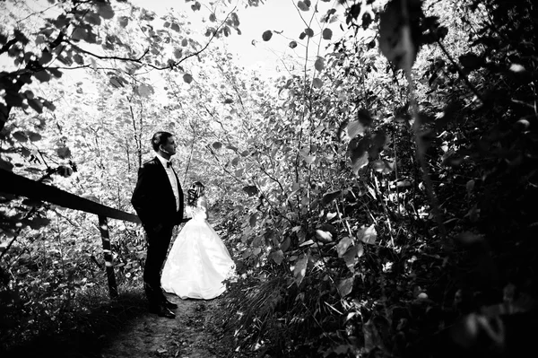 Velmi smyslná a oslnivě Svatební pár na malebné území — Stock fotografie
