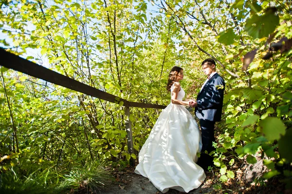 Pareja de boda muy sensual y hermosa en las tierras pintorescas — Foto de Stock