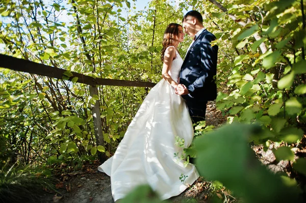 Very sensual and gorgeus wedding couple on the picturesque lands — Stock Photo, Image