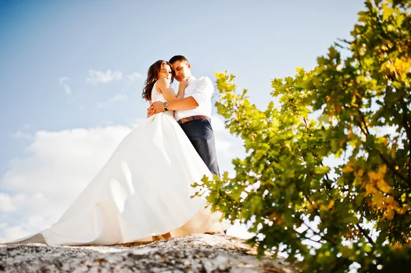 Very sensual and gorgeus wedding couple on the picturesque lands Stock Photo