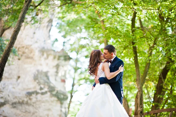 Pareja de boda muy sensual y hermosa en las tierras pintorescas —  Fotos de Stock