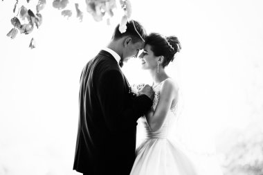 Muhteşem Düğün çifti aşık sonbahar Park