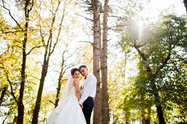 Muhteşem Düğün çifti aşık sonbahar Park