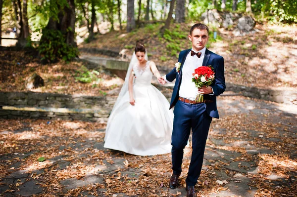 恋の秋の公園で豪華な結婚式のカップル — ストック写真