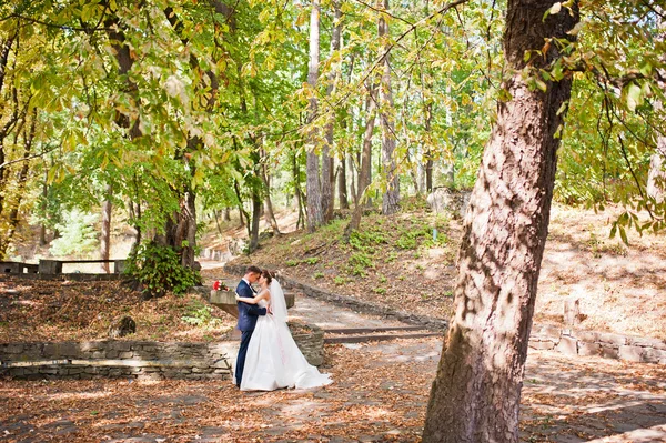 Prachtige bruidspaar in herfst park in liefde — Stockfoto