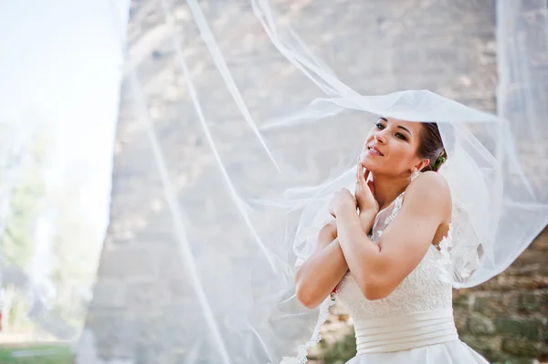 Elegante novia morena con largo velo en el bosque — Foto de Stock