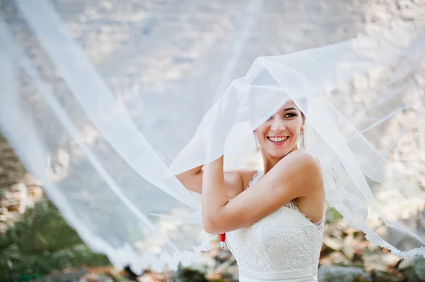 森での長いベールを持つエレガントなブルネットの花嫁 — ストック写真