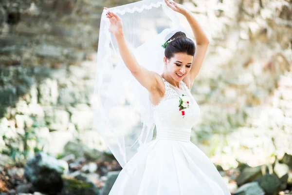 Eleganckie oblubienicy brunetka z długim welonem w lesie — Zdjęcie stockowe