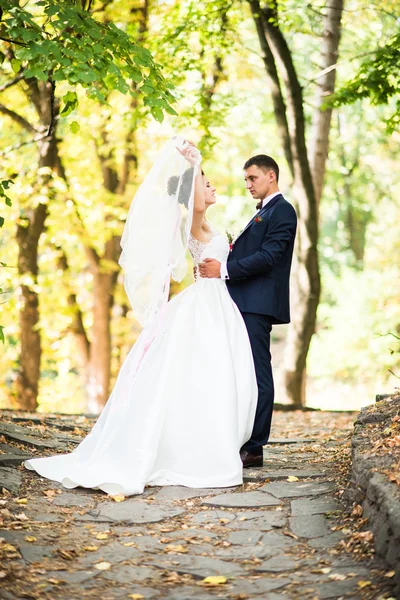 Underbara bröllop par på hösten park i kärlek — Stockfoto