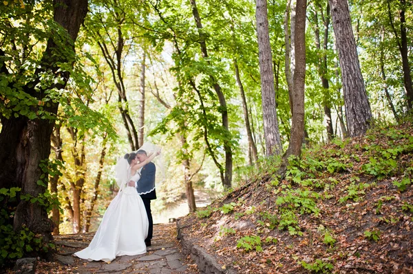 Prachtige bruidspaar in herfst park in liefde — Stockfoto