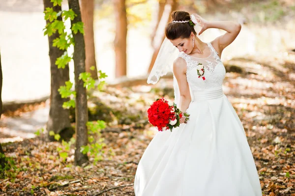 Elegante brünette Braut mit langem Schleier im Wald — Stockfoto