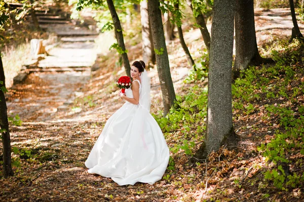 Κομψό νύφη μελαχρινή με μακρύ πέπλο στο δάσος — Φωτογραφία Αρχείου