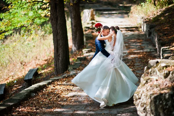华丽的新婚夫妇在爱的秋天公园 — 图库照片