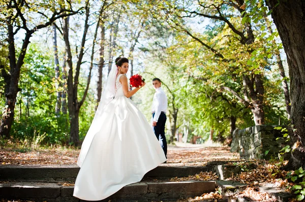 恋の秋の公園で豪華な結婚式のカップル — ストック写真