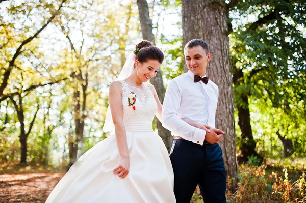 Gorgeous wedding couple at autumn park in love — Stock Photo, Image